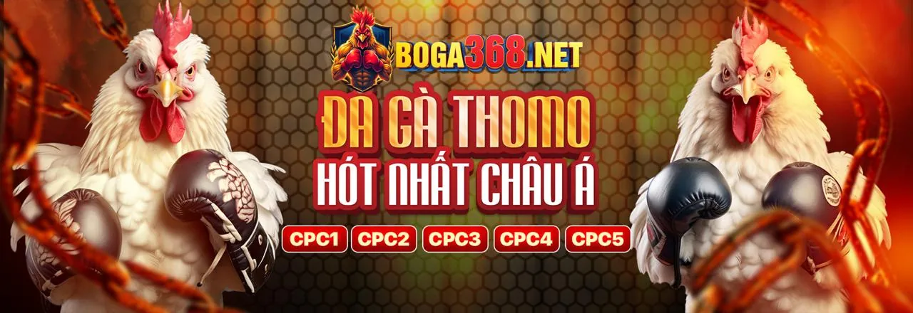 Đá gà trực tiếp sôi động tại f1686s đăng nhập