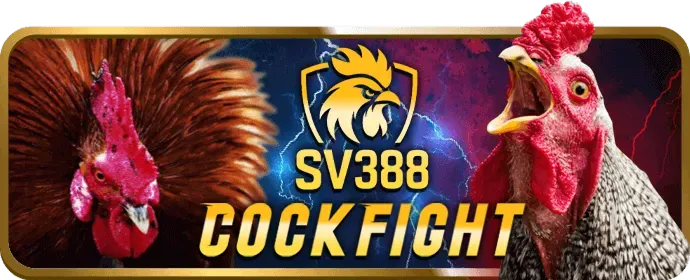 Cá cược thể thao f1686s